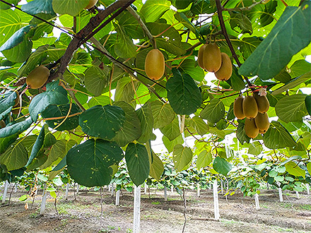 九游娱乐入口基地展示三