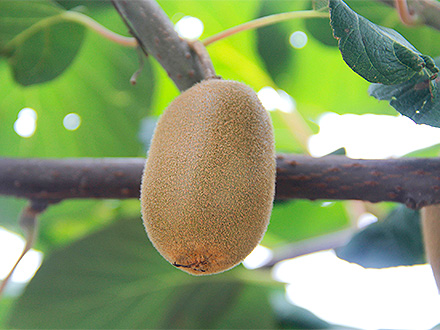 九游娱乐入口基地展示二