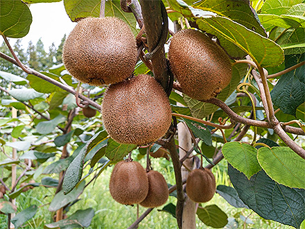 九游娱乐入口基地展示六