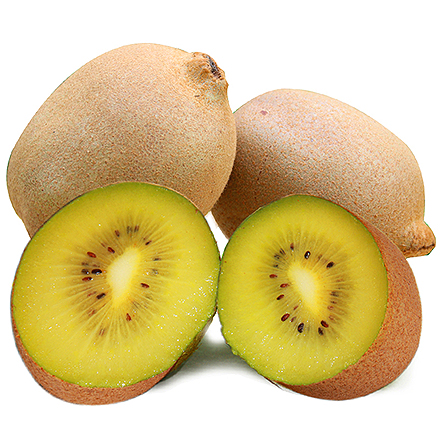 九游娱乐入口产品中心四