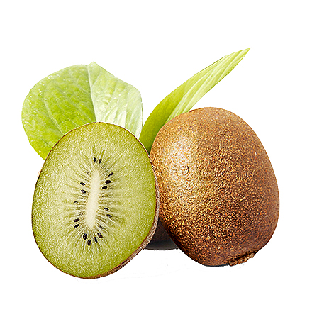 九游娱乐入口产品中心六